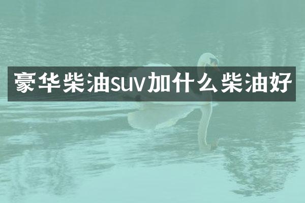豪华柴油suv加什么柴油好
