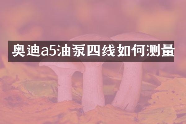 奥迪a5油泵四线如何测量