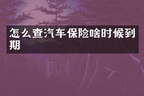 怎么查汽车保险啥时候到期