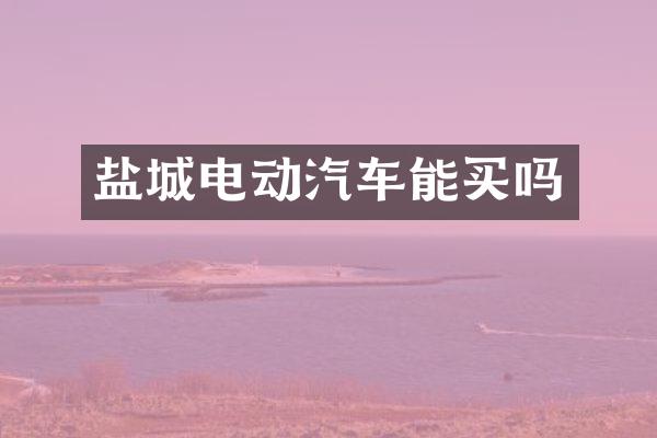 盐城电动汽车能买吗