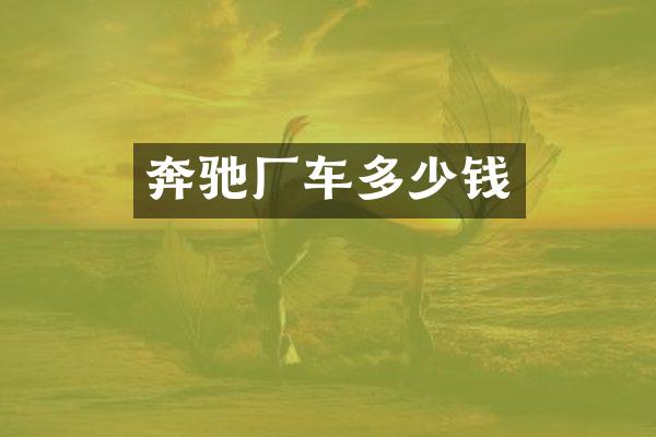 奔驰厂车多少钱