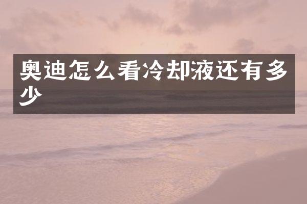 奥迪怎么看冷却液还有多少