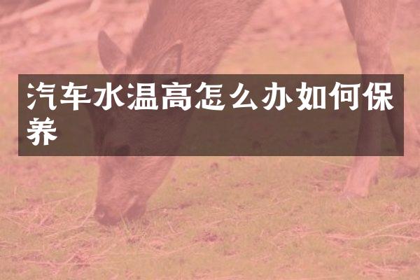 汽车水温高怎么办如何保养