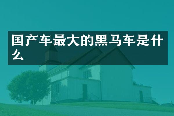 国产车最大的黑马车是什么