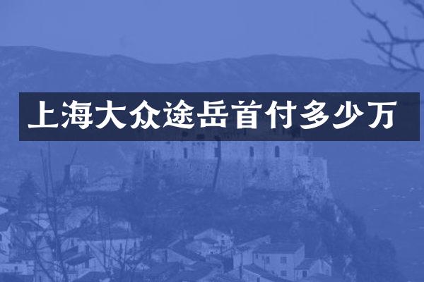 上海大众途岳首付多少万