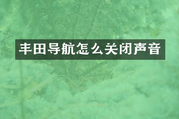 丰田导航怎么关闭声音