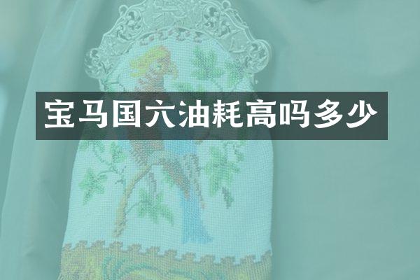 宝马国六油耗高吗多少