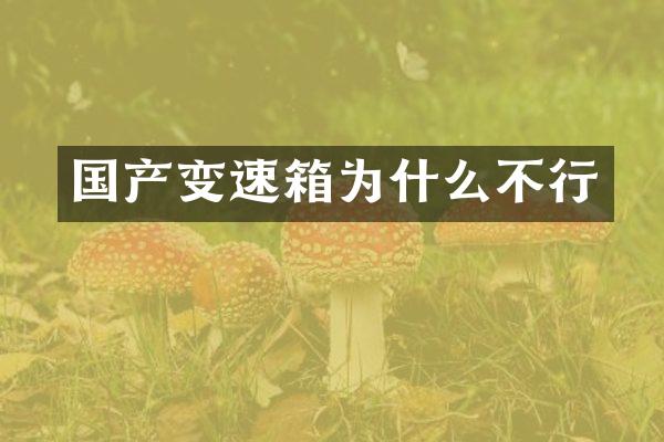 国产变速箱为什么不行