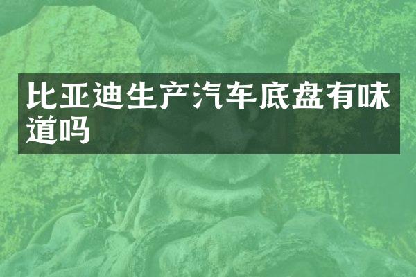 比亚迪生产汽车底盘有味道吗