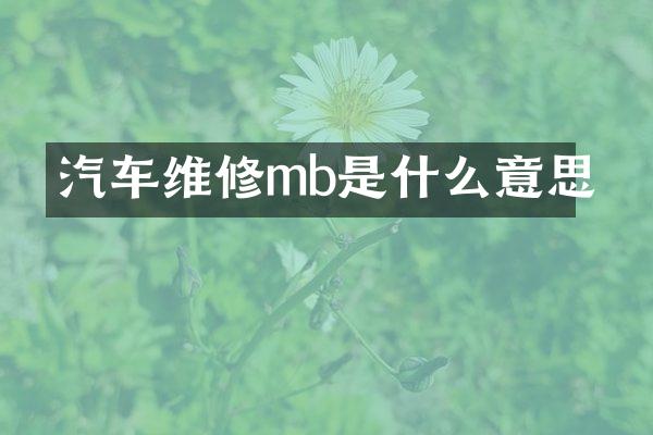 汽车维修mb是什么意思