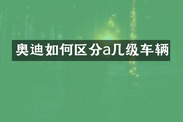 奥迪如何区分a几级车辆