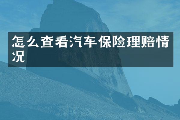 怎么查看汽车保险理赔情况