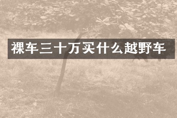 裸车三十万越野车