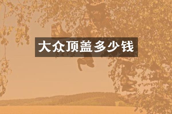 大众顶盖多少钱