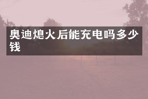 奥迪熄火后能充电吗多少钱