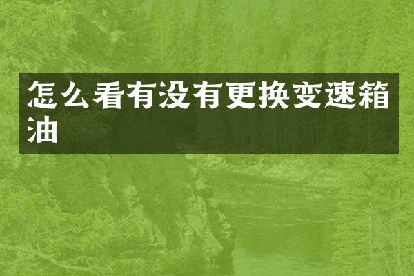 怎么看有没有更换变速箱油
