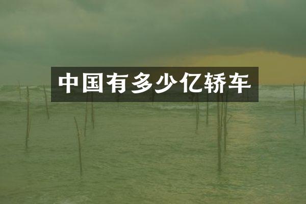 中国有多少亿轿车
