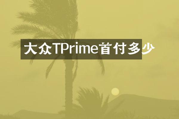 大众TPrime首付多少