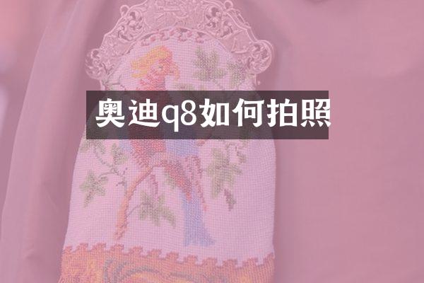 奥迪q8如何拍照
