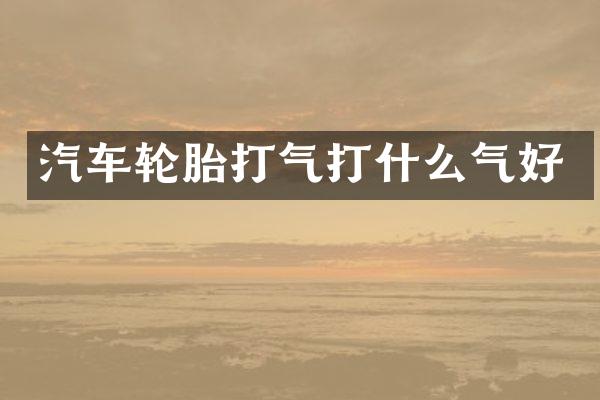 汽车轮胎打气打什么气好
