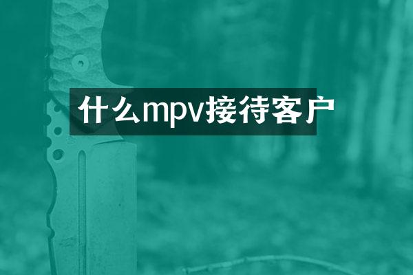 什么mpv接待客户