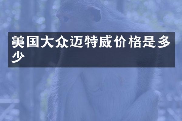美国大众迈特威价格是多少