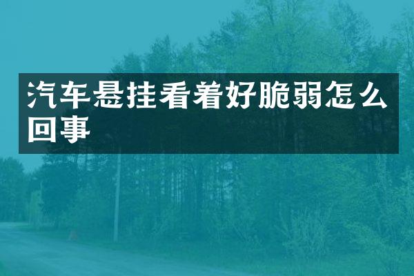 汽车悬挂看着好脆弱怎么回事