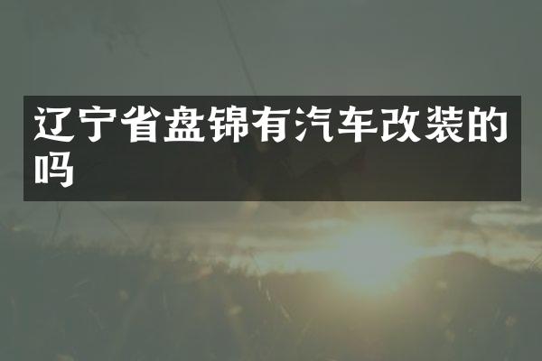 辽宁省盘锦有汽车改装的吗