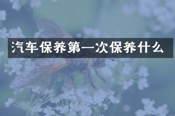 汽车保养第一次保养什么