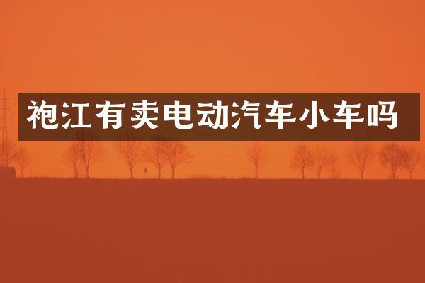 袍江有卖电动汽车小车吗