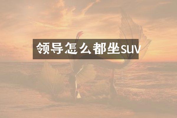 领导怎么都坐suv