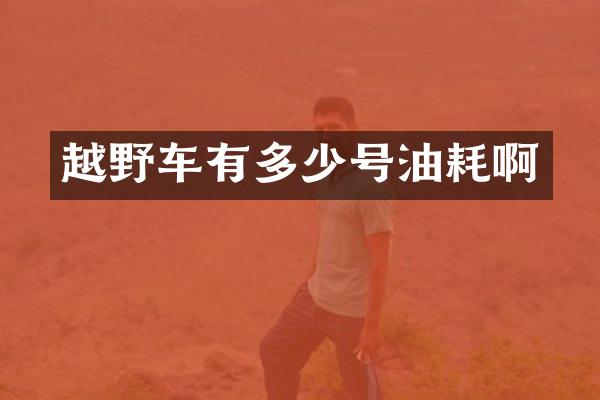 越野车有多少号油耗啊