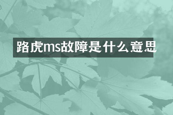 路虎ms故障是什么意思
