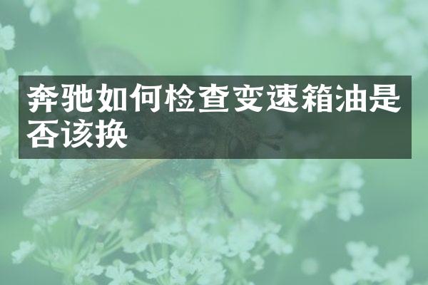 奔驰如何检查变速箱油是否该换