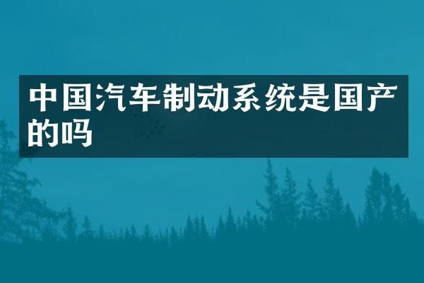 中国汽车制动系统是国产的吗