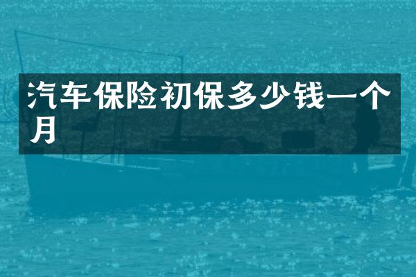 汽车保险初保多少钱一个月