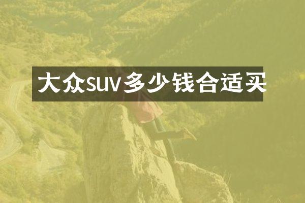 大众suv多少钱合适买