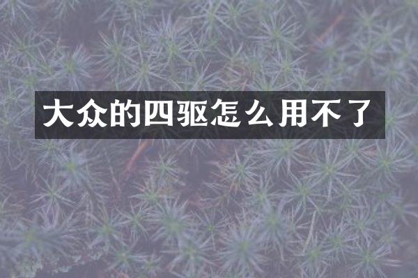 大众的四驱怎么用不了