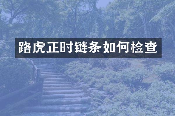 路虎正时链条如何检查
