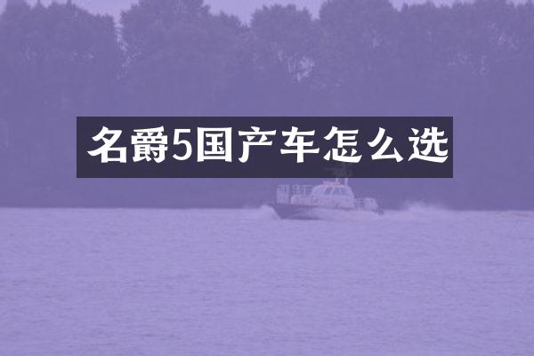 名爵5国产车怎么选