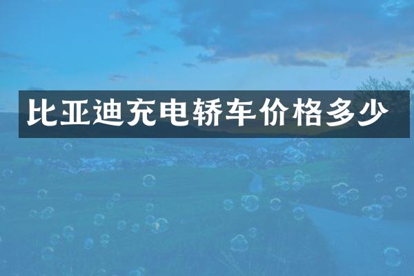 比亚迪充电轿车价格多少