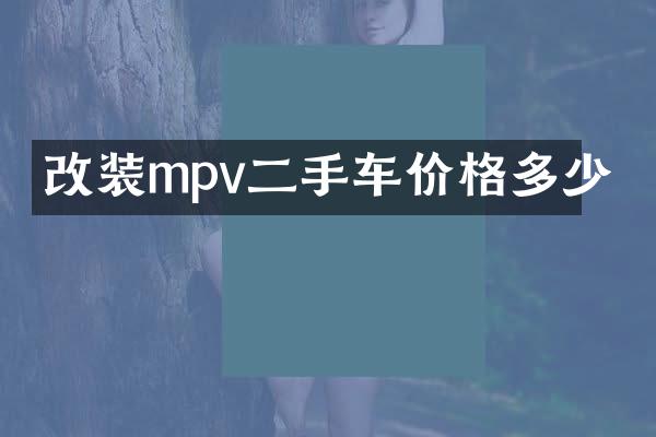 改装mpv二手车价格多少