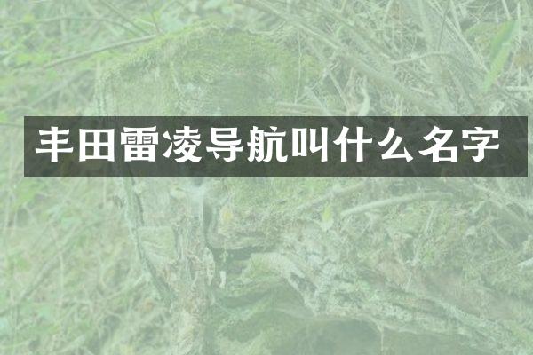 丰田雷凌导航叫什么名字