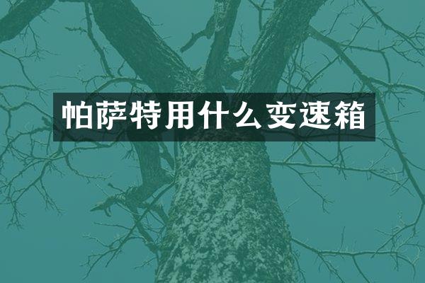 帕萨特用什么变速箱