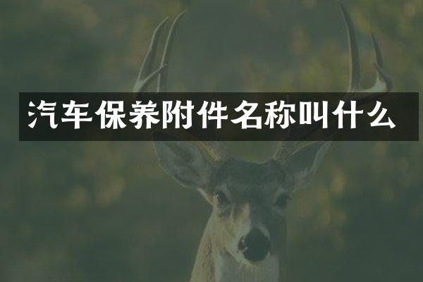 汽车保养附件名称叫什么