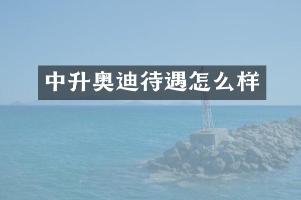 中升奥迪待遇怎么样