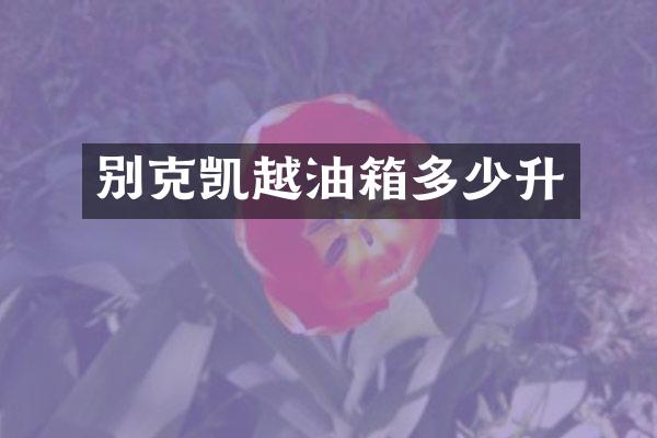 别克凯越油箱多少升