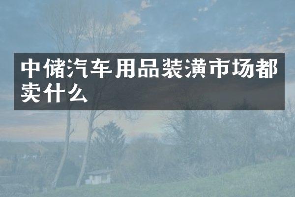 中储汽车用品装潢市场都卖什么