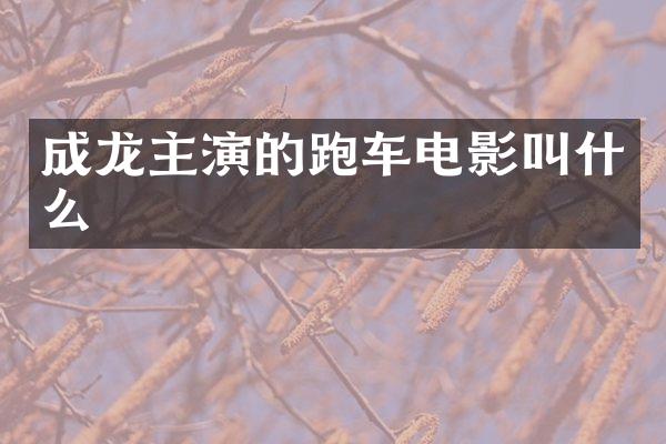 成龙主演的跑车电影叫什么