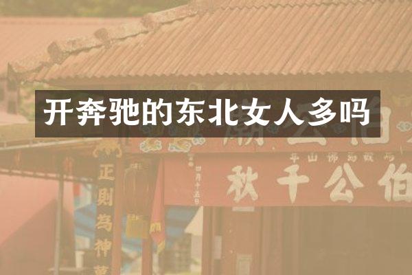 开奔驰的东北女人多吗